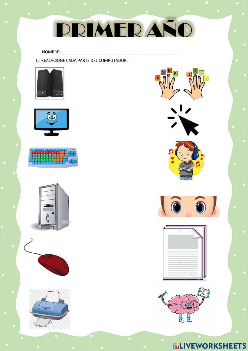 Partes de la computadora