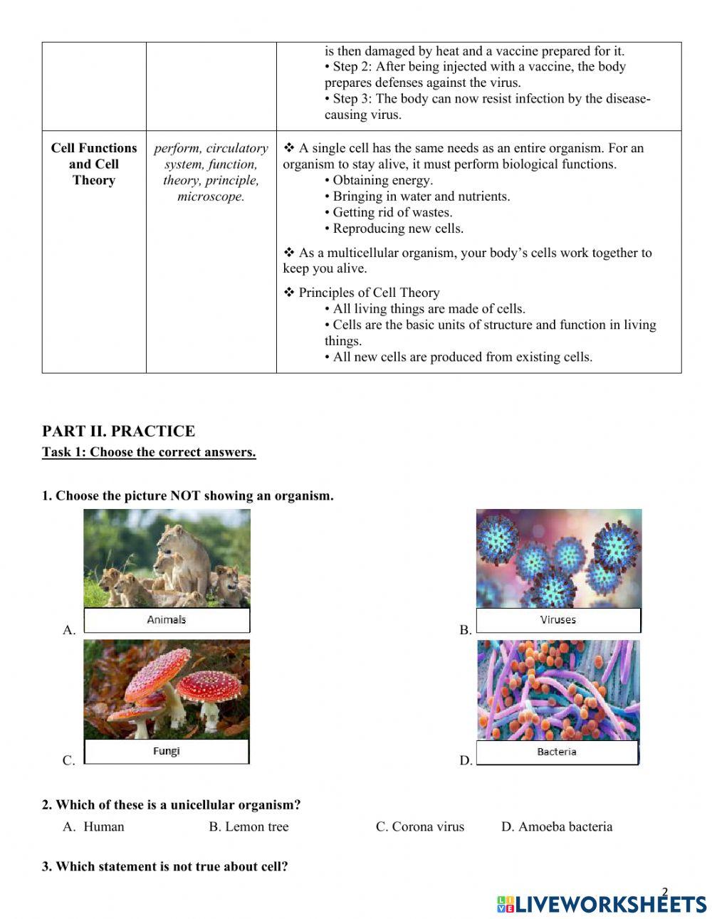 8ccs-science-stufy guide