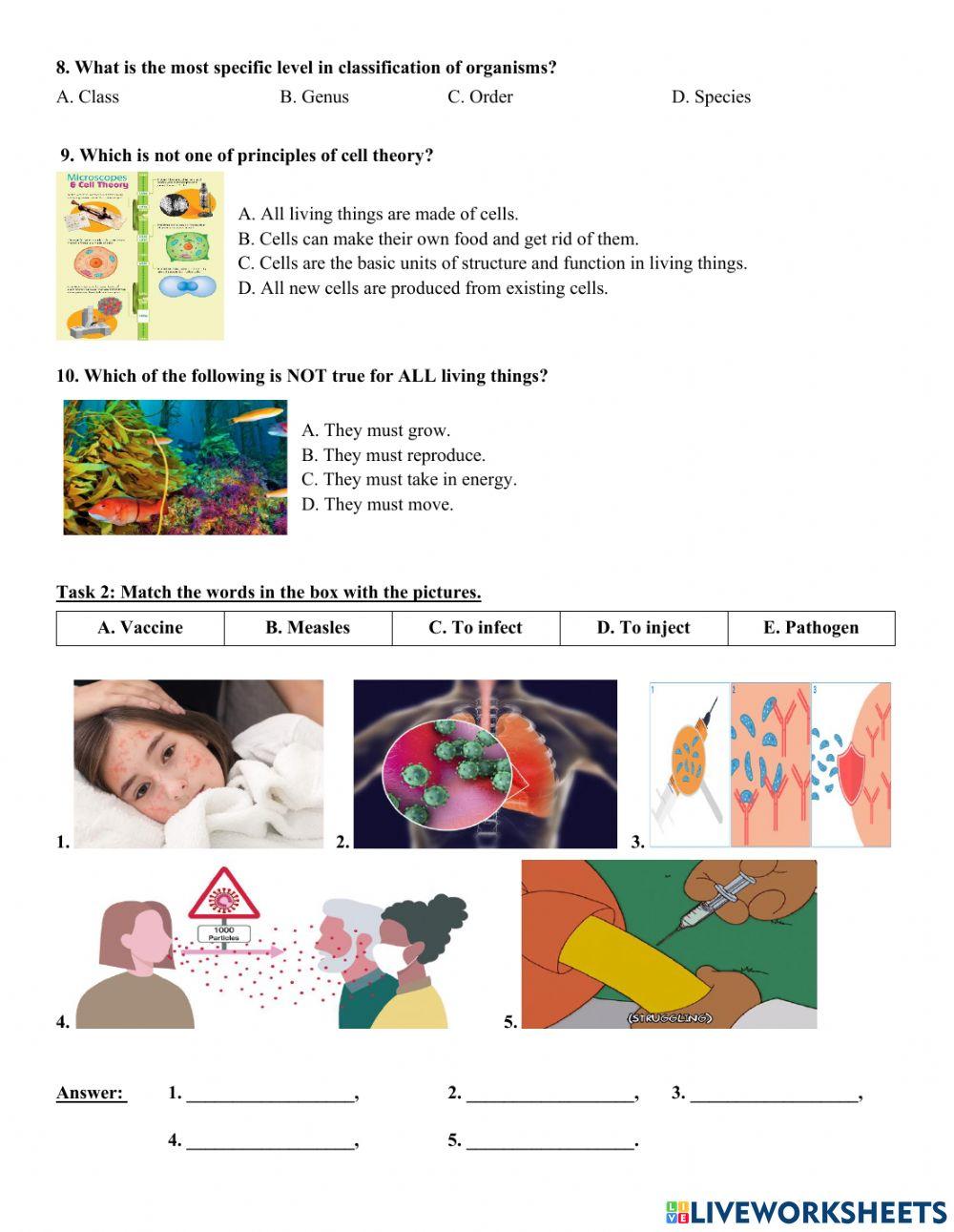 8ccs-science-stufy guide