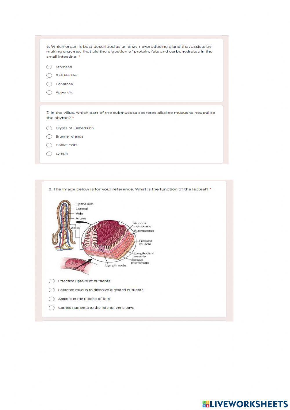 Gr 11 Animal nutrition