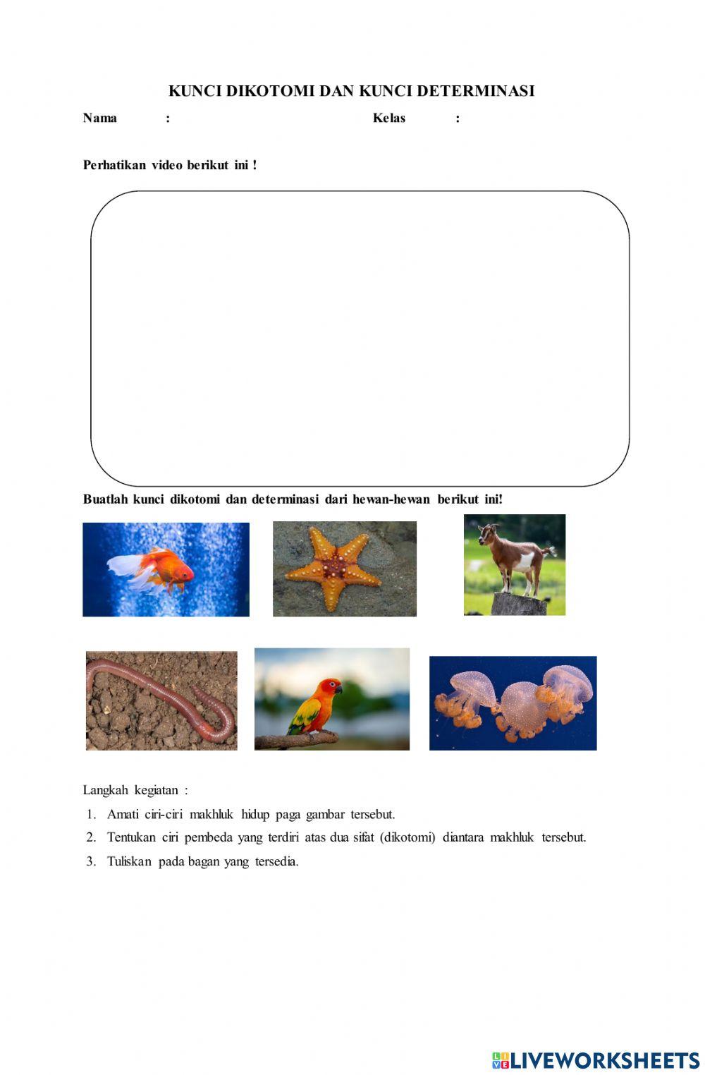 Kunci dikotomi dan determinasi