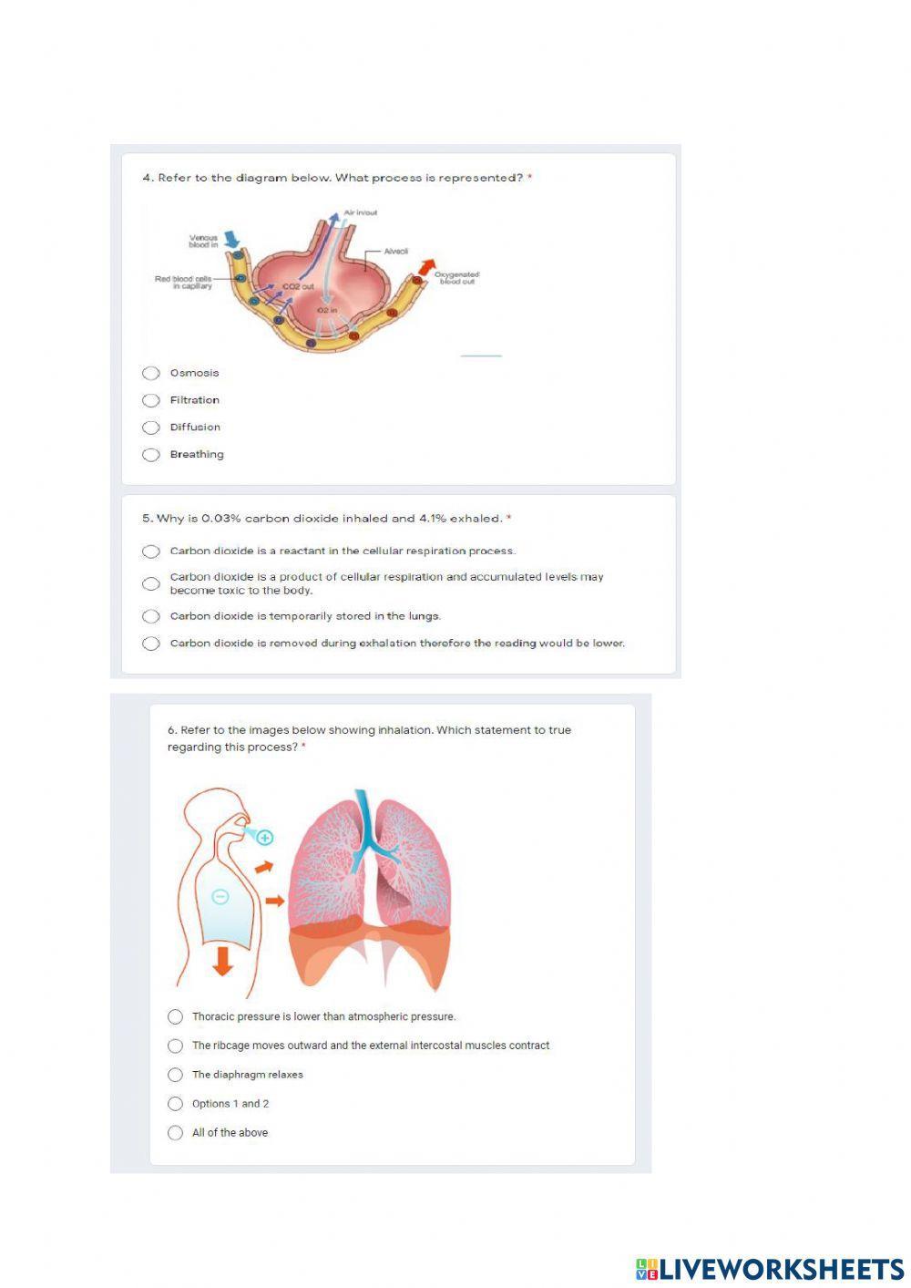 Gr 11 Gas exchange