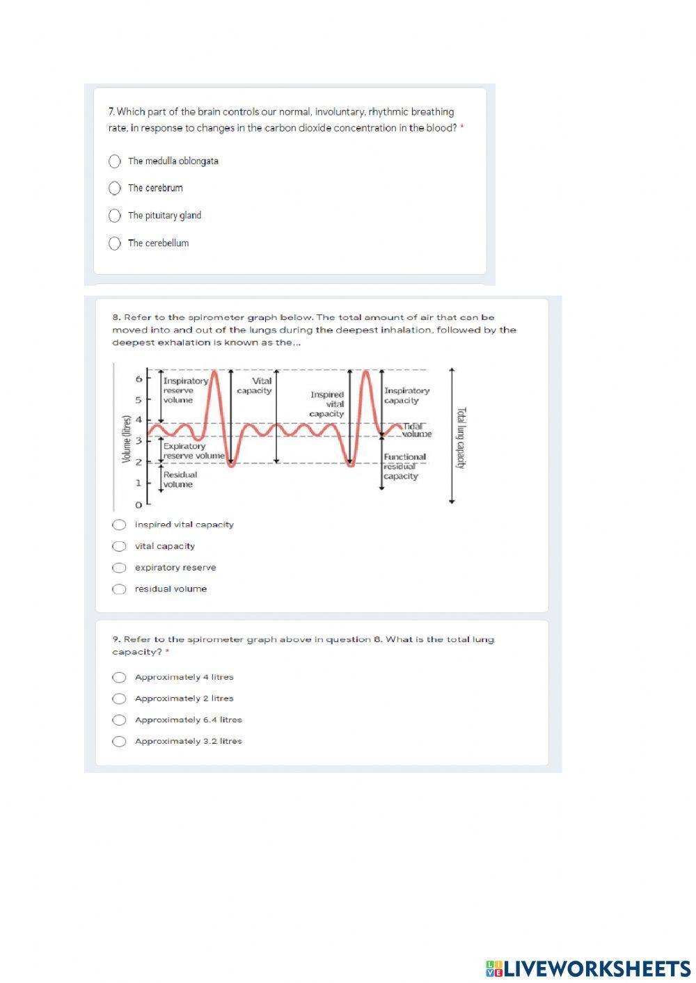 Gr 11 Gas exchange