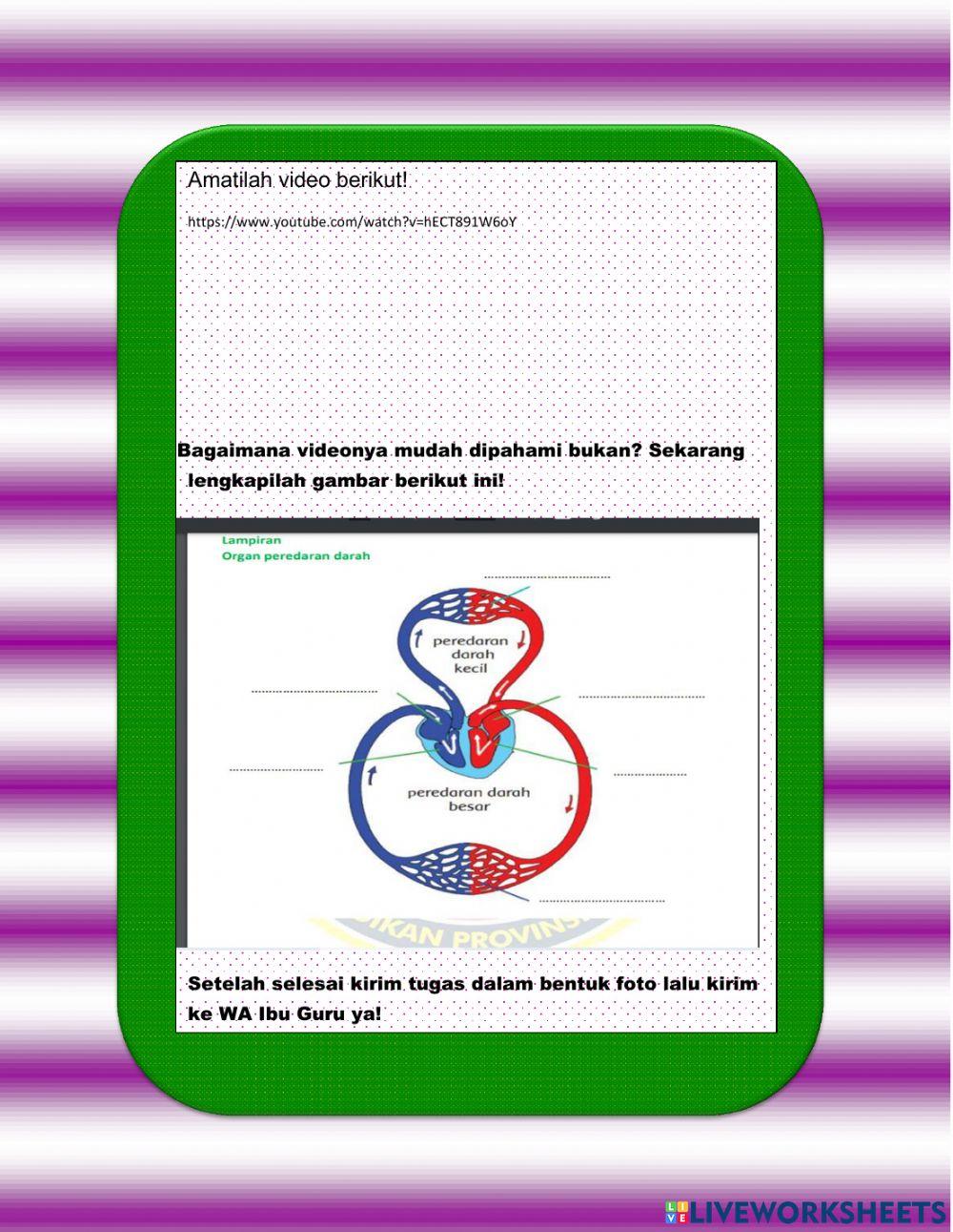 Lkpd kelas 5 tema 4 subtema 2 pb 3