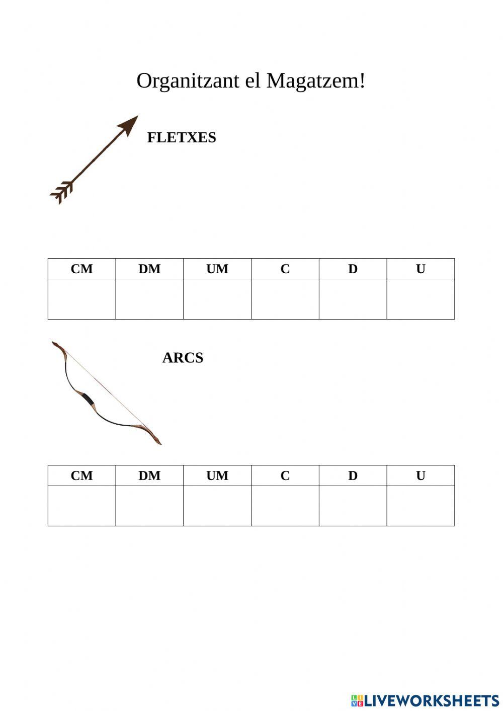 Organitzant el Magatzem