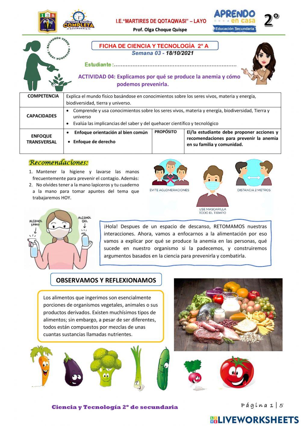 ACTIVIDAD 04: Explicamos por qué se produce la anemia y cómo podemos prevenirla.