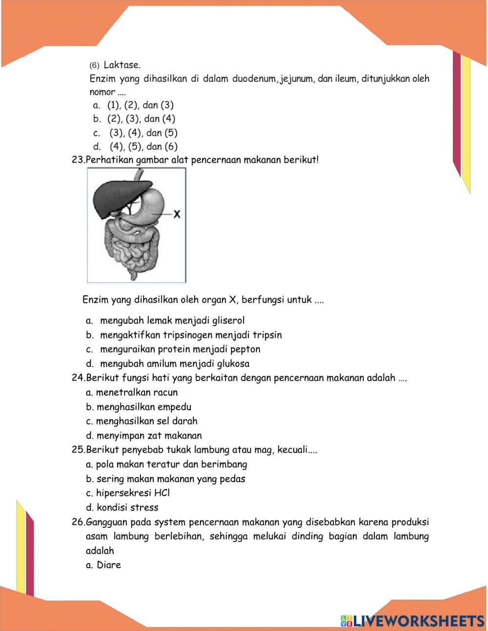 Soal Latihan Sistem Pencernaan