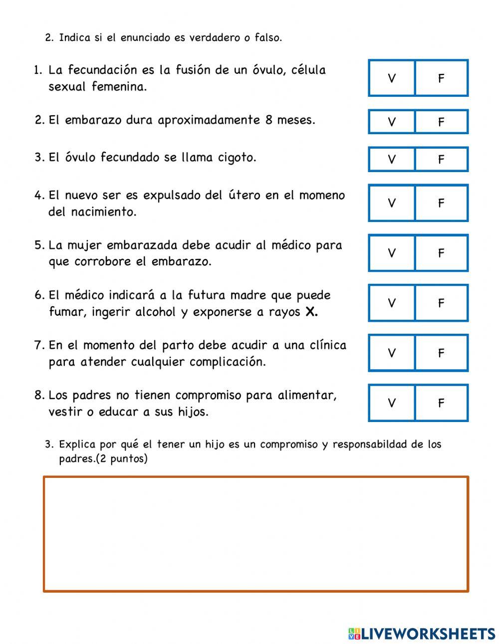 Etapas del desarrollo humano