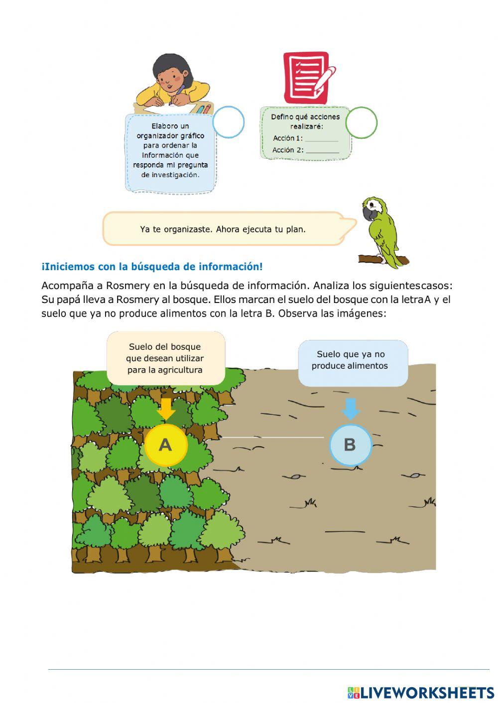 ¿Cómo es el suelo?