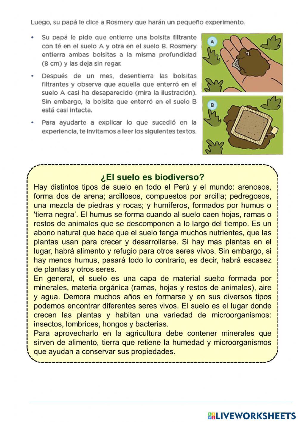 ¿Cómo es el suelo?