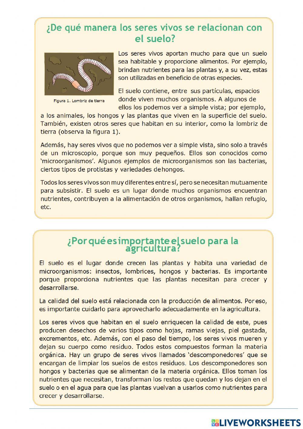 ¿Cómo es el suelo?