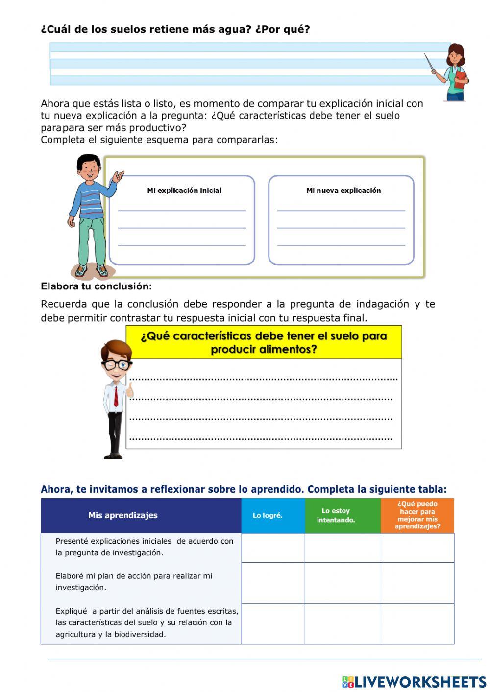 ¿Cómo es el suelo?