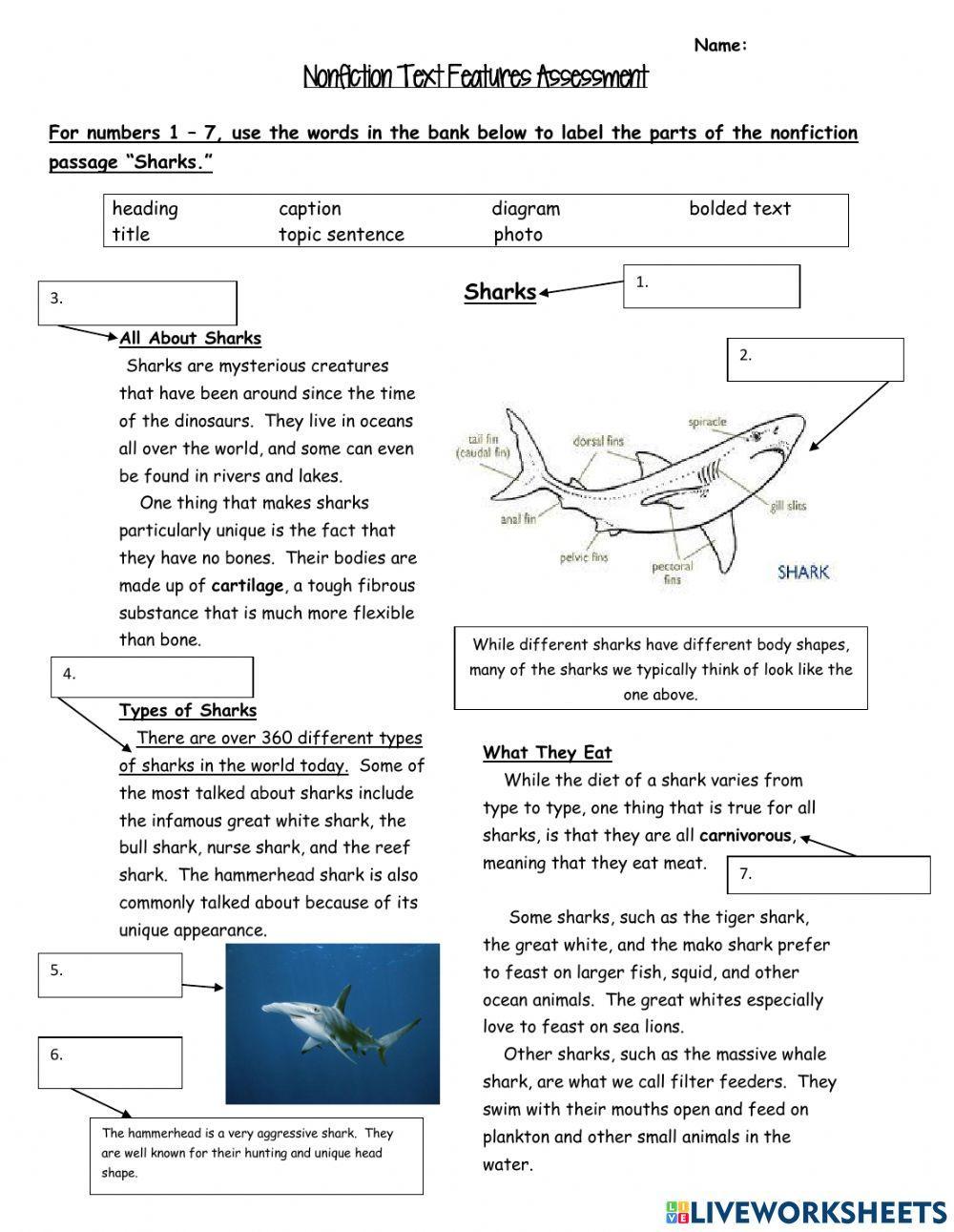 Sharks -Nonfiction Text Features