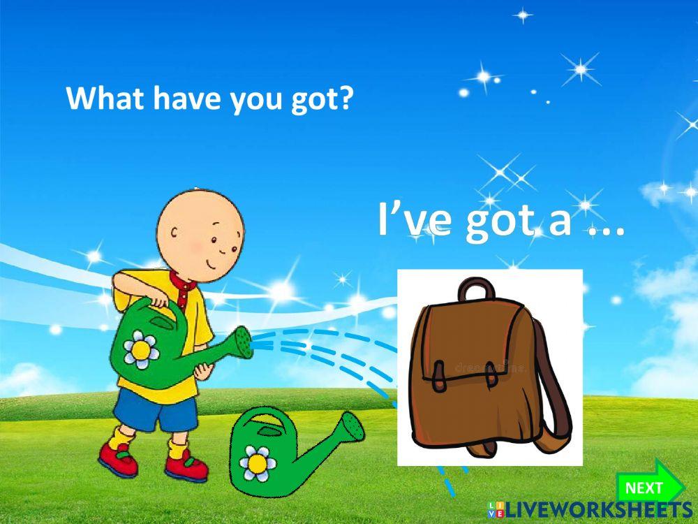 I Have got a My favourire color is