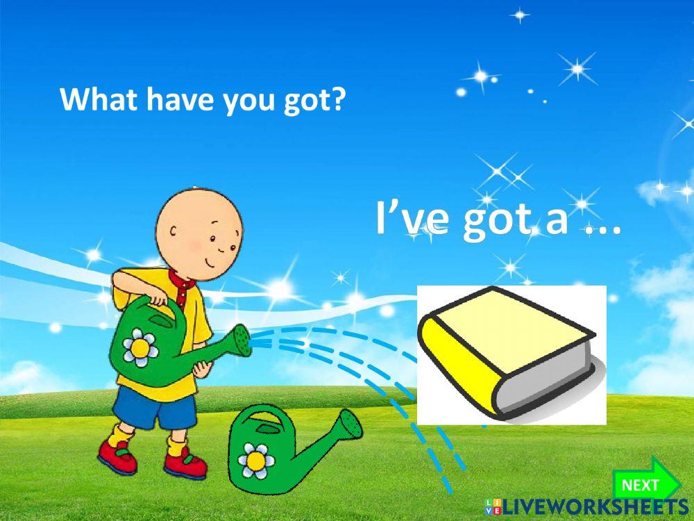 I Have got a My favourire color is