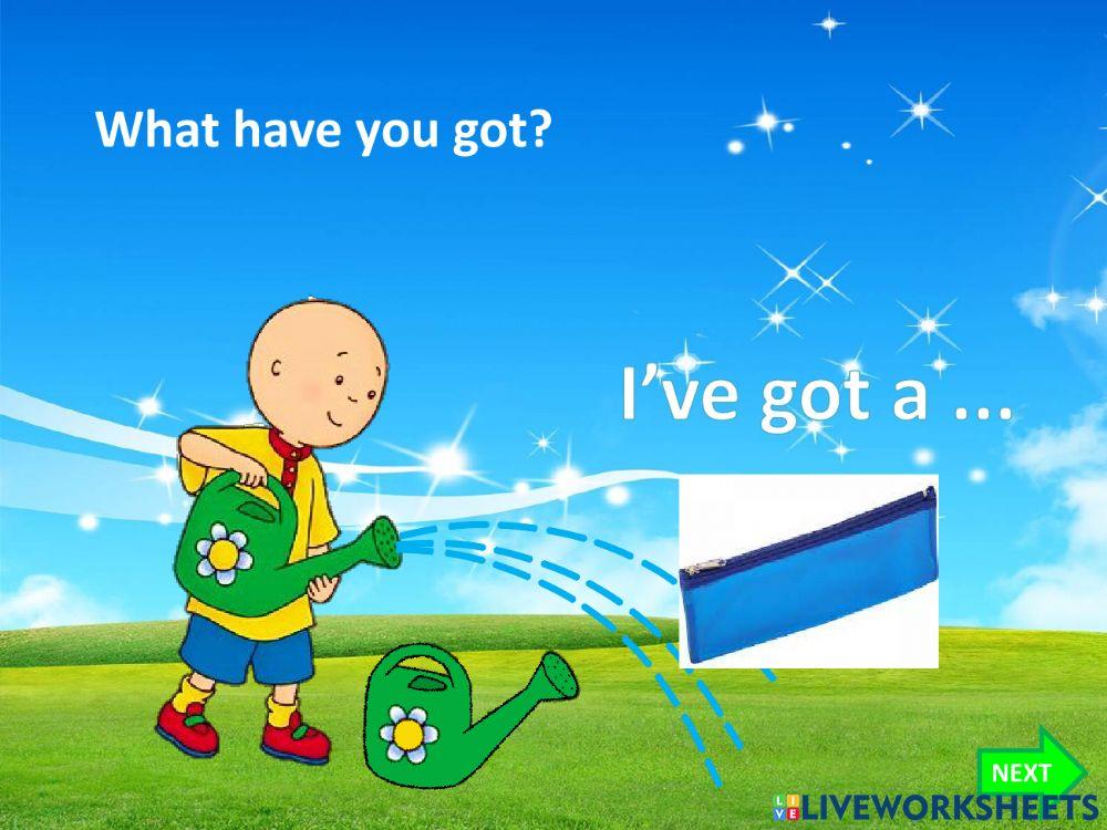 I Have got a My favourire color is