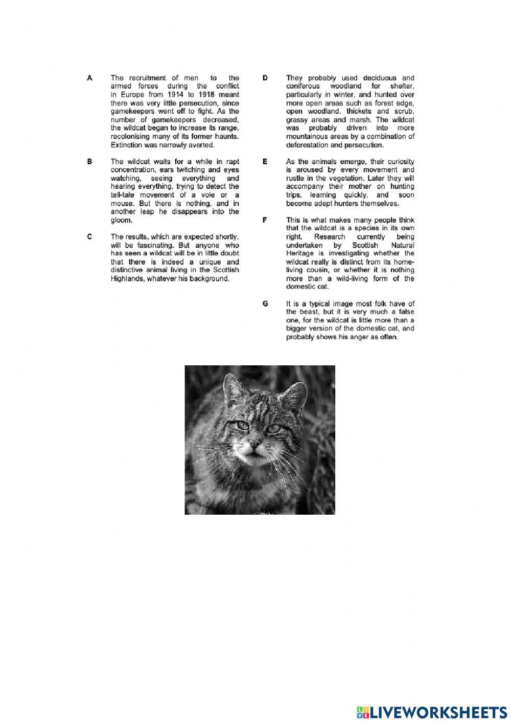 Cae use of english and reading