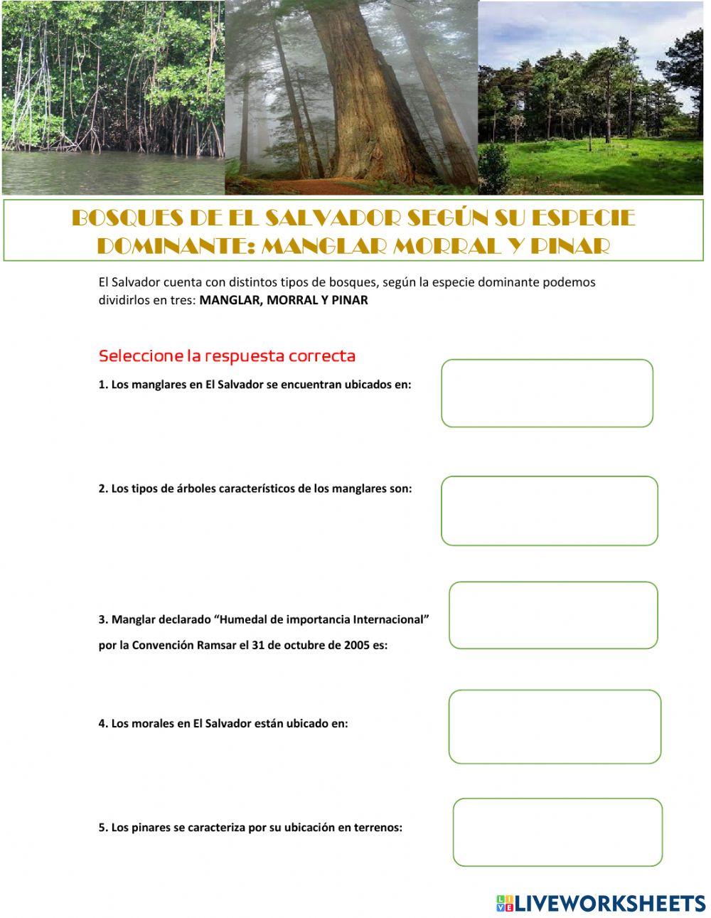 Bosques de El Salvador