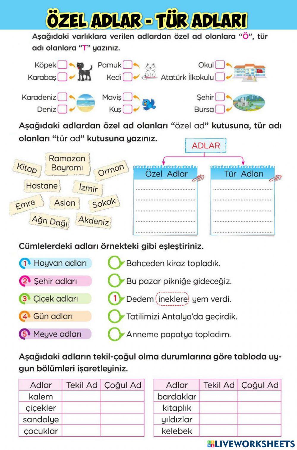Özel Adlar-Tür Adları
