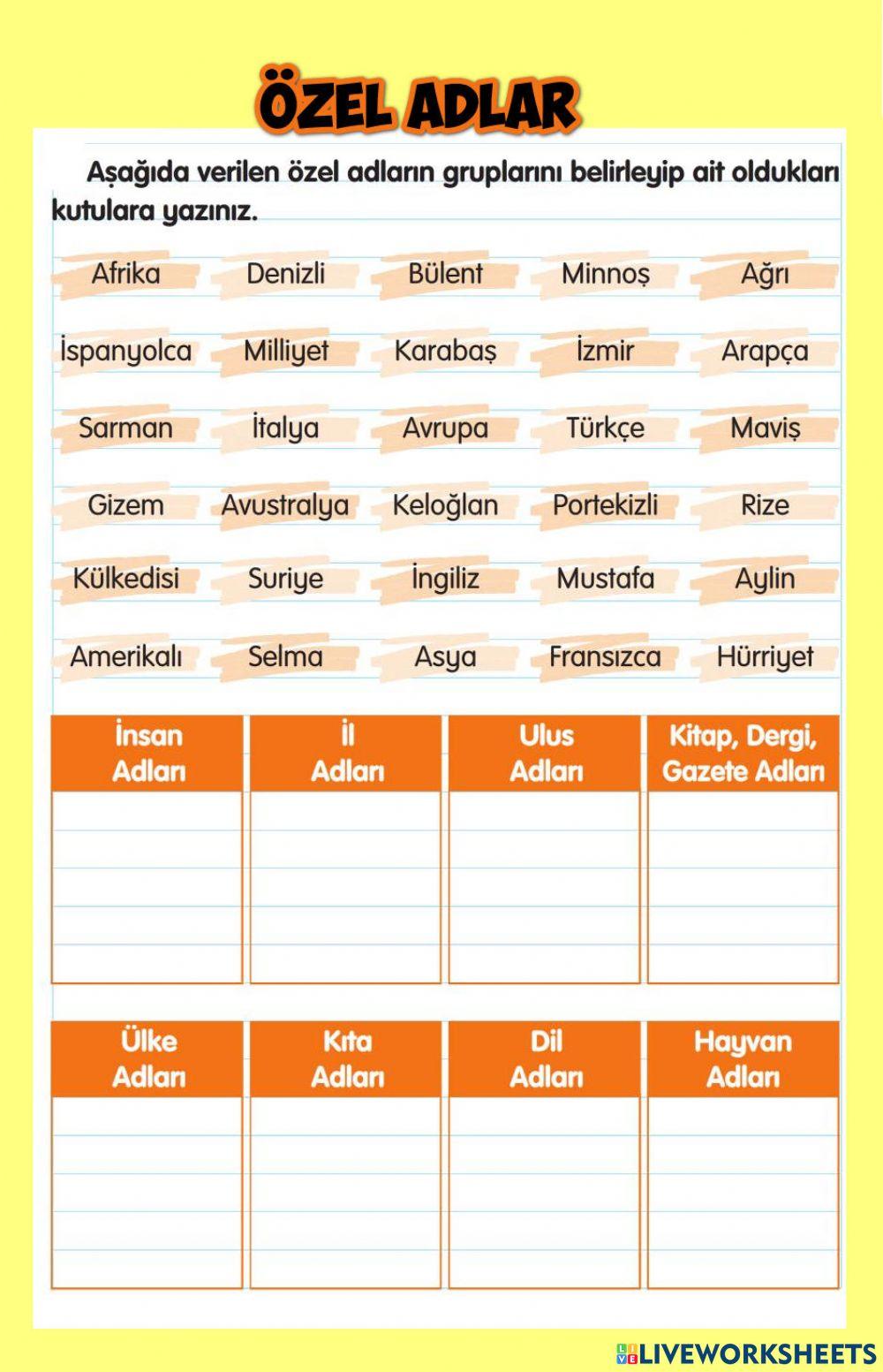 Özel Adlar (Cins İsimler)