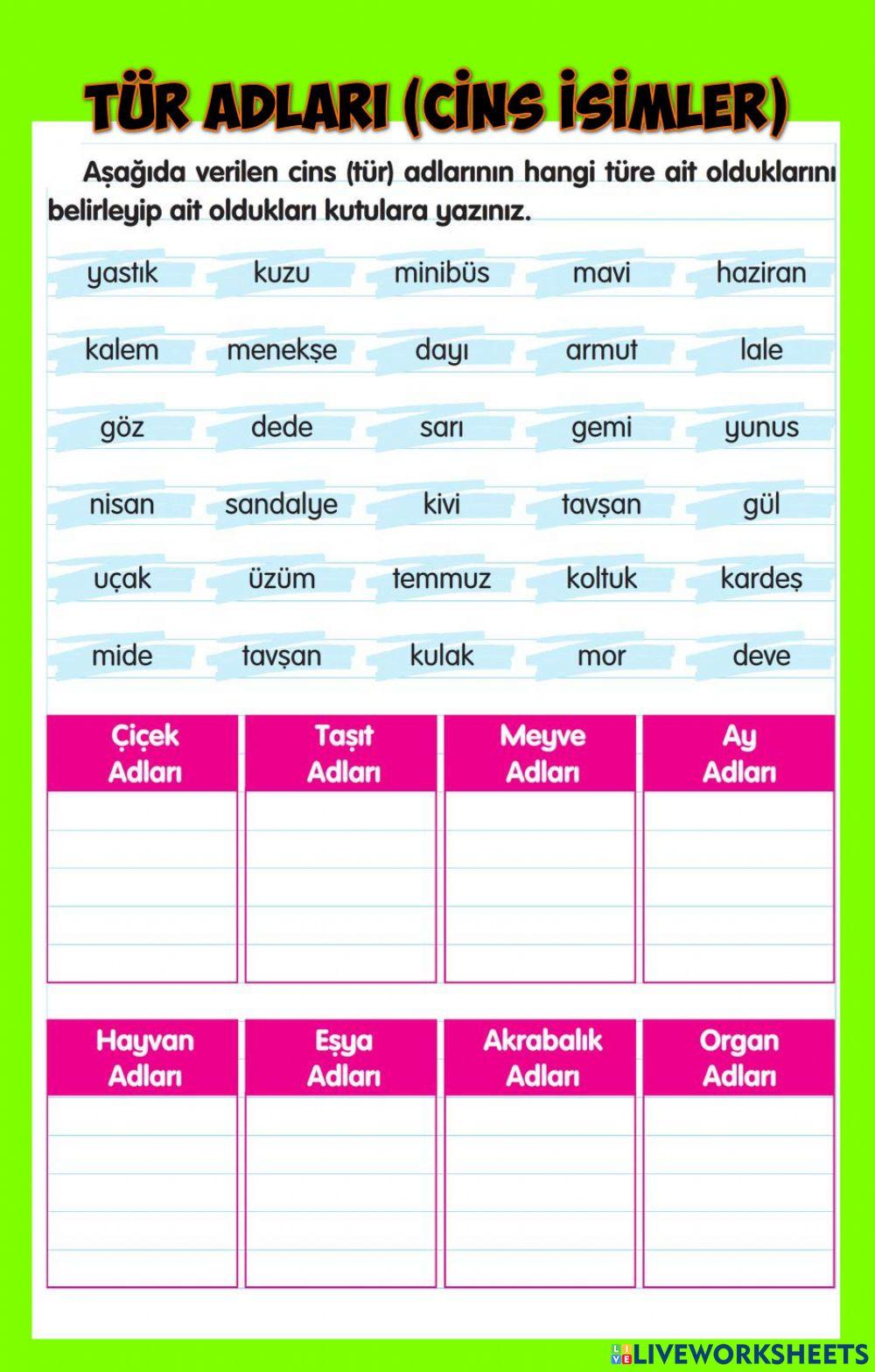 Tür Adları (Cins İsimler)