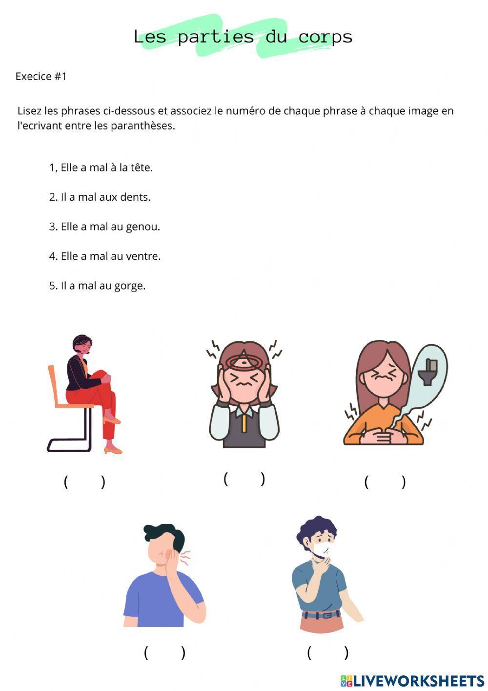 Les parties du corps