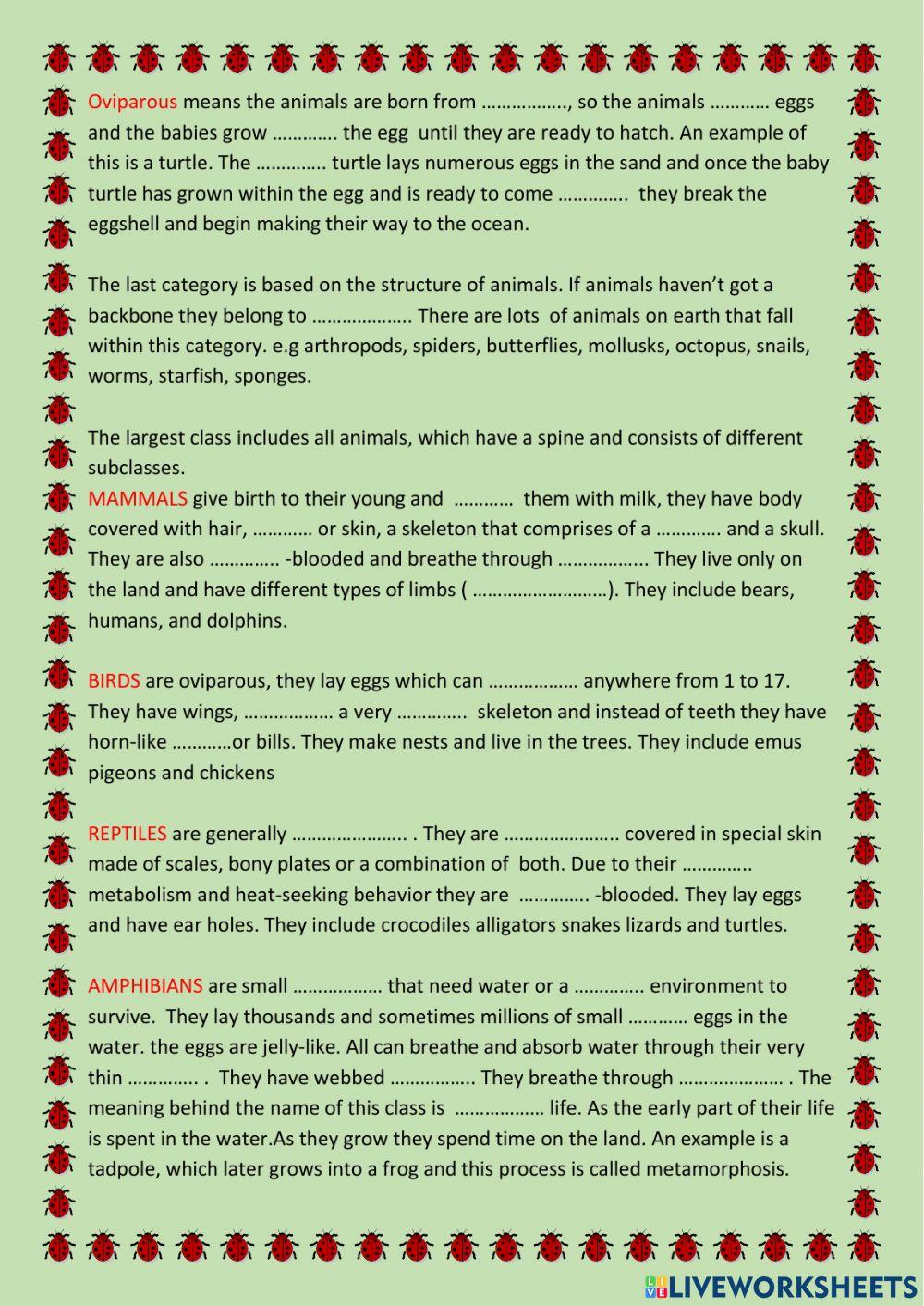 Animals classification