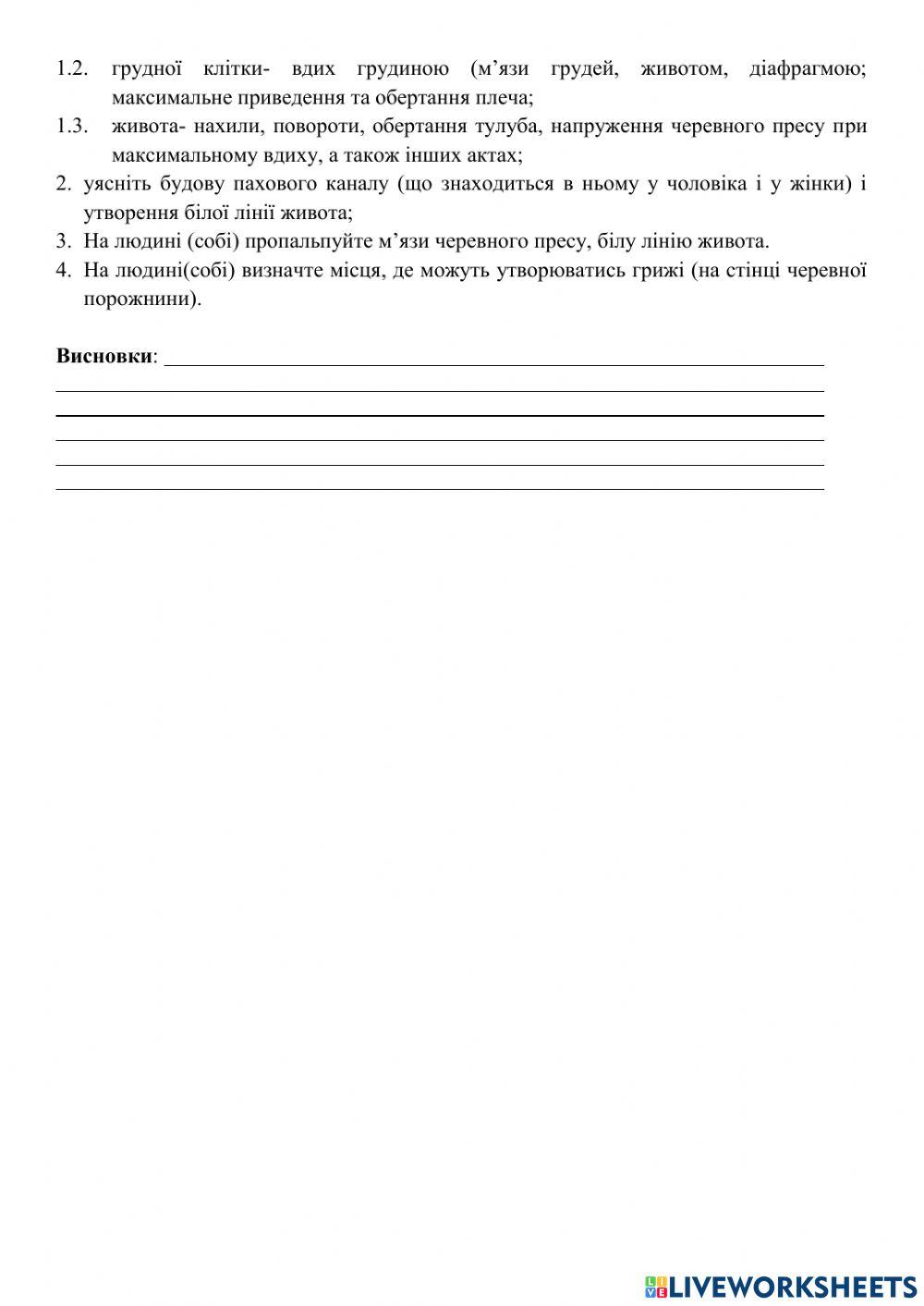 Анатомія м'язів тулуба