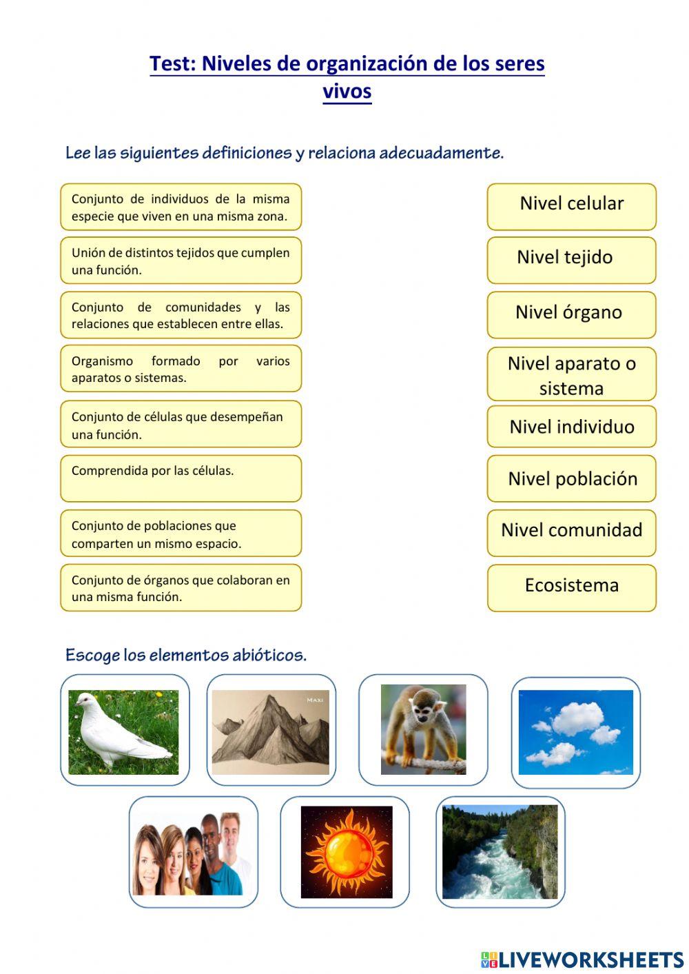 Test de Nivel de organización de los seres vivos