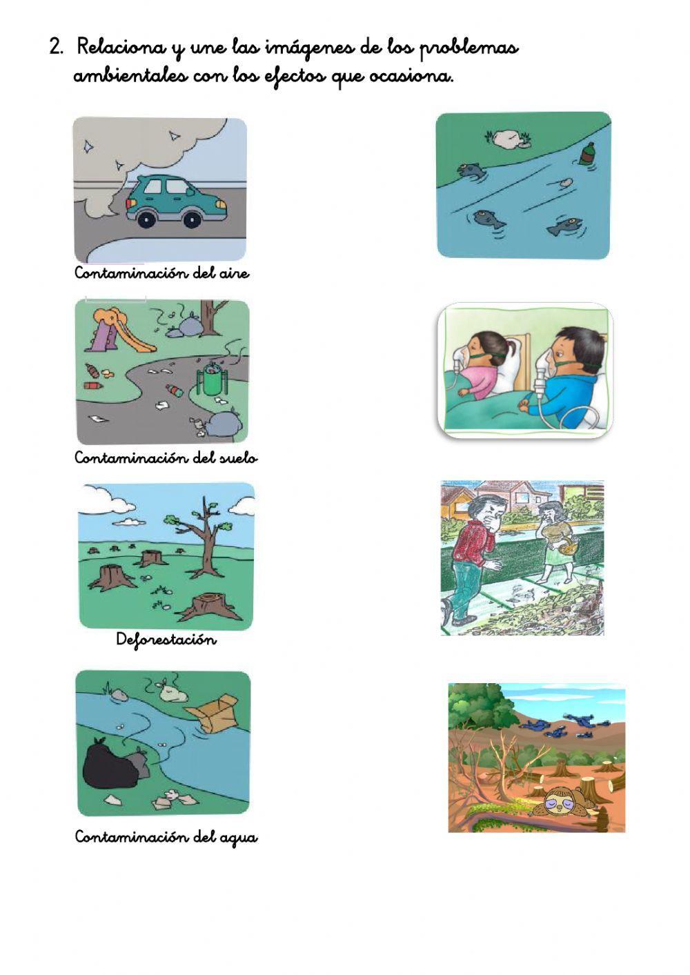 PROBLEMAS AMBIENTALES