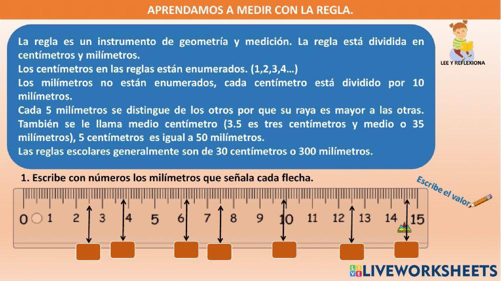 ¿Cómo usar la regla?
