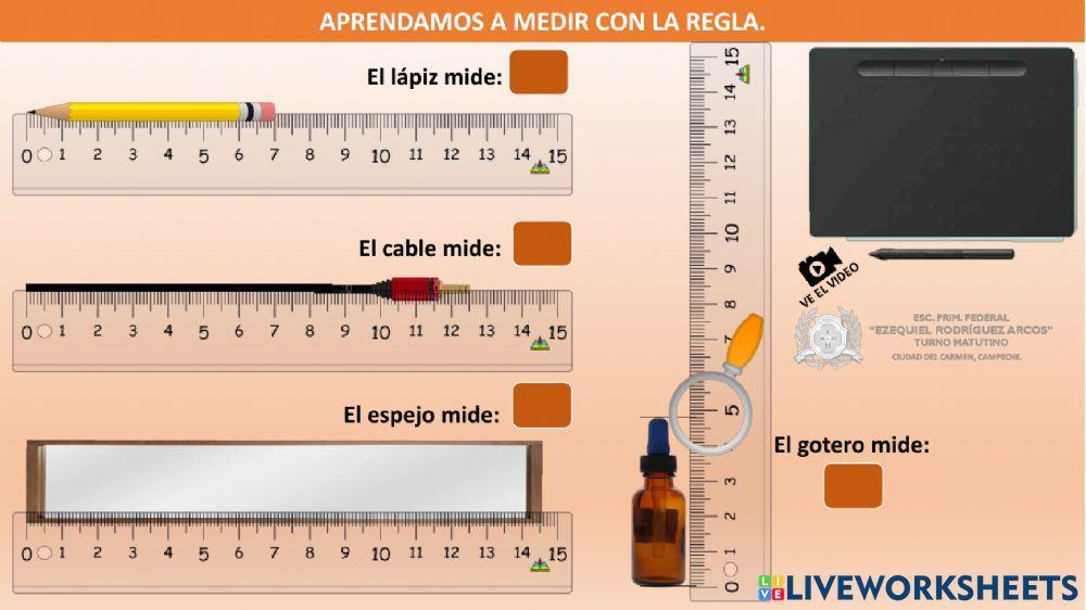 ¿Cómo usar la regla?