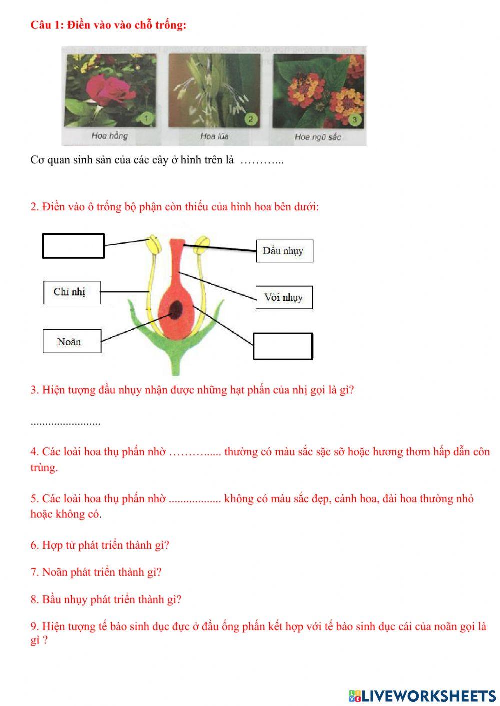 Sự sinh sản của thực vật có hoa
