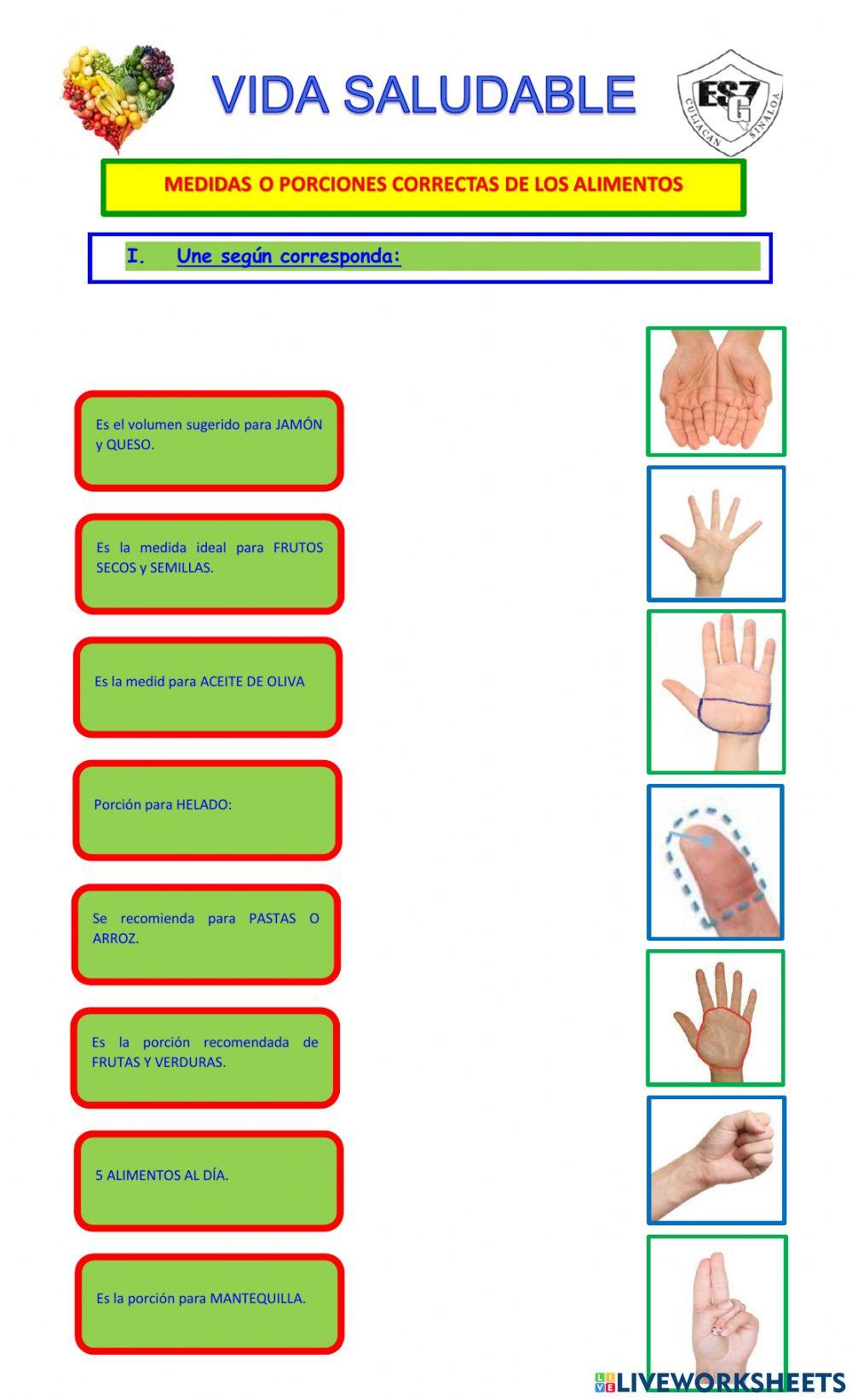 Medidas o porciones correctas de los alimentos