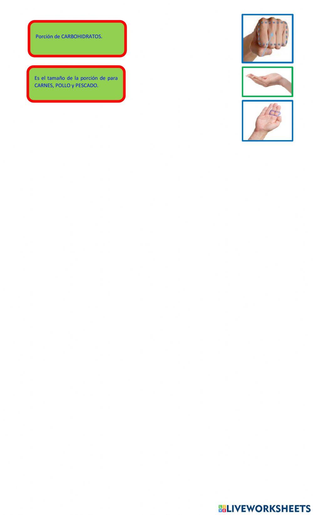 Medidas o porciones correctas de los alimentos