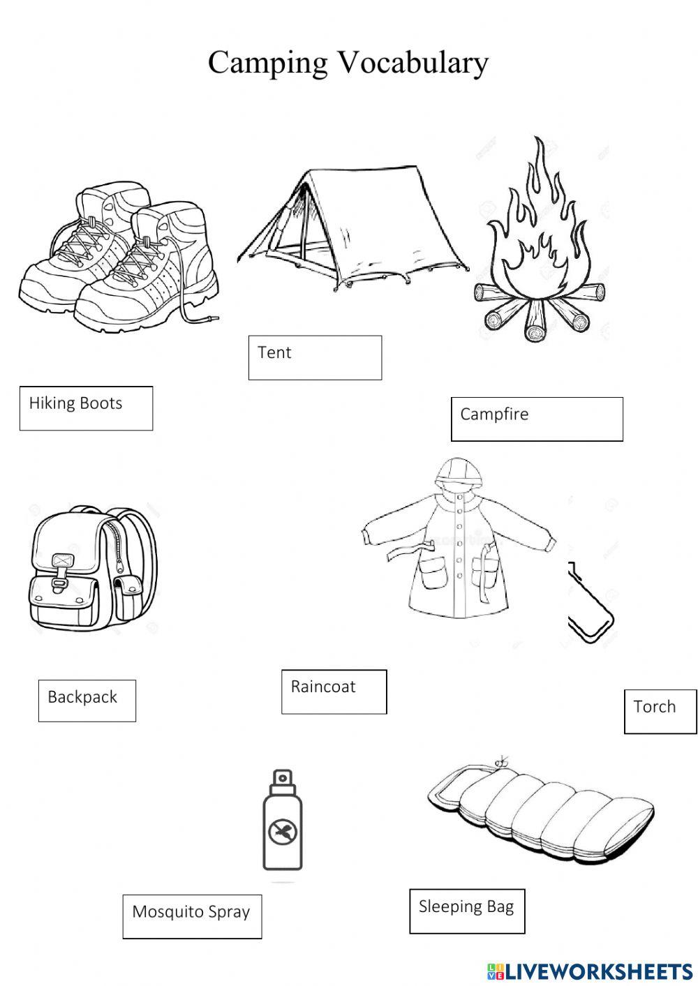 Wh Words Interactive Activity Live Worksheets Wh Words Interactive Activity Live Worksheets
