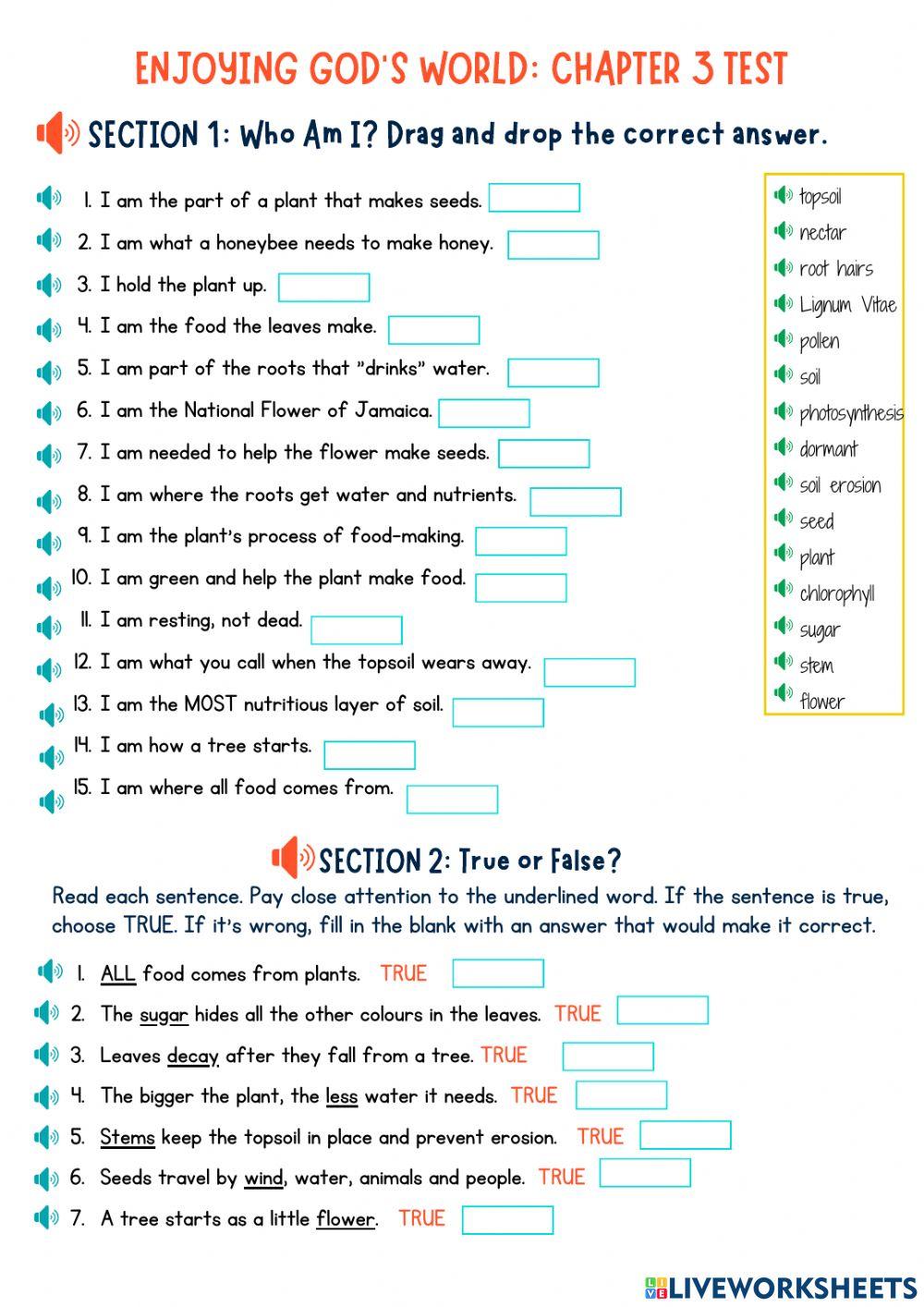 Enjoying God's World Chapter 3 Test