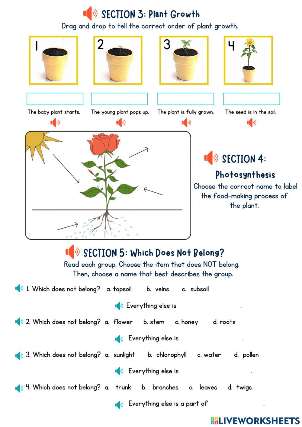 Enjoying God's World Chapter 3 Test