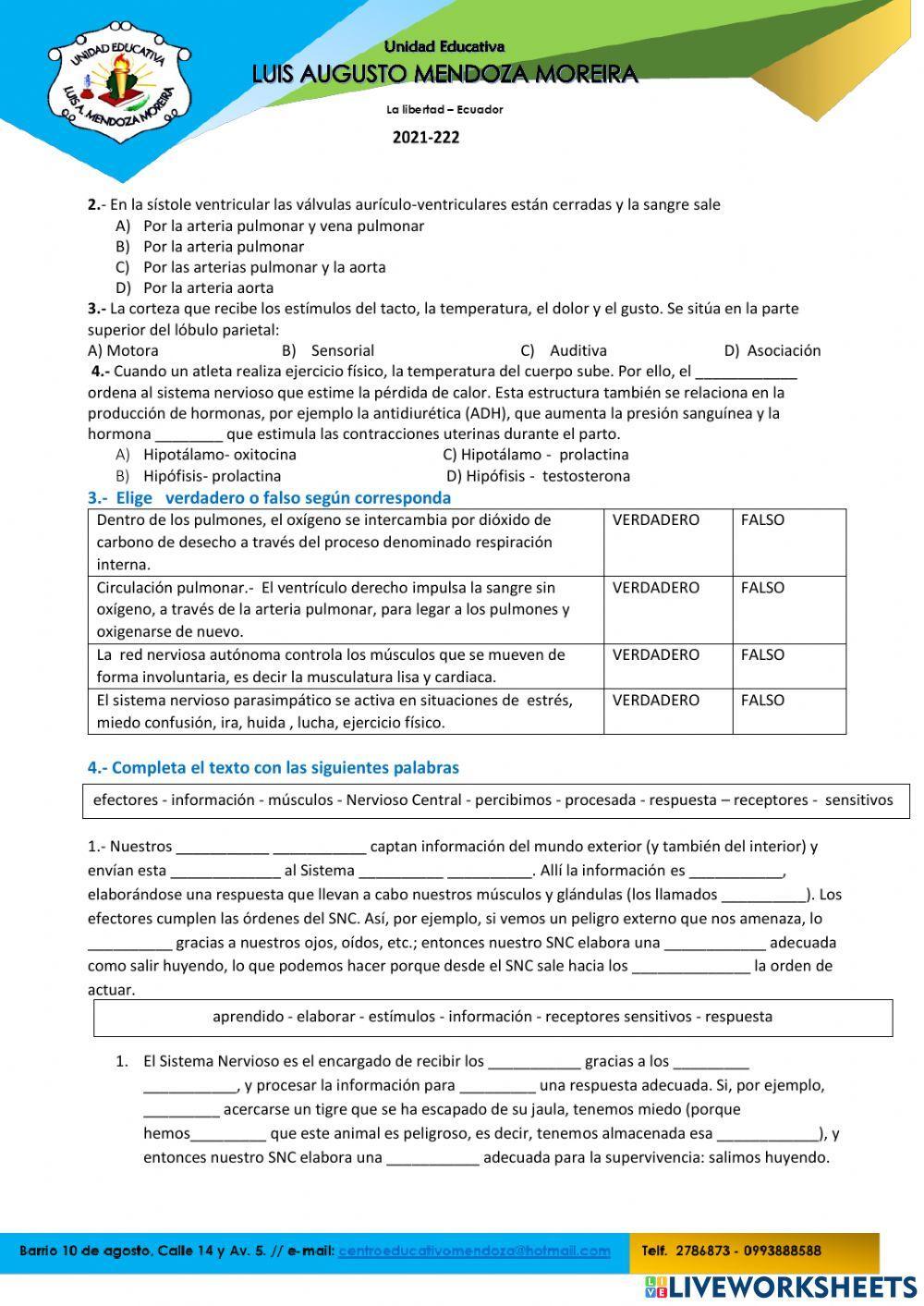 Anatomia y fisiologia humana