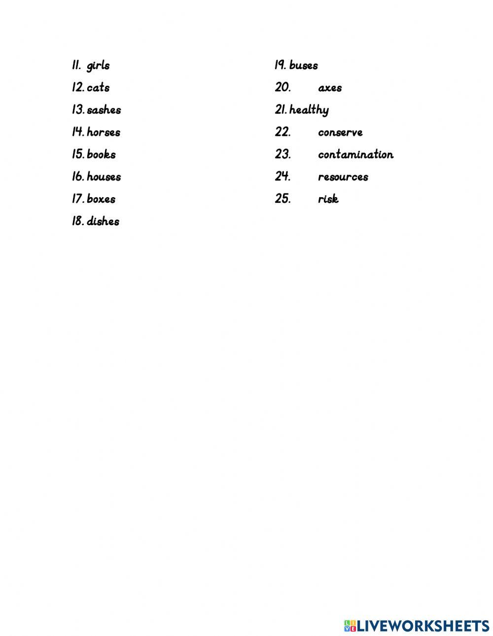 Plural Nouns Spelling Notes