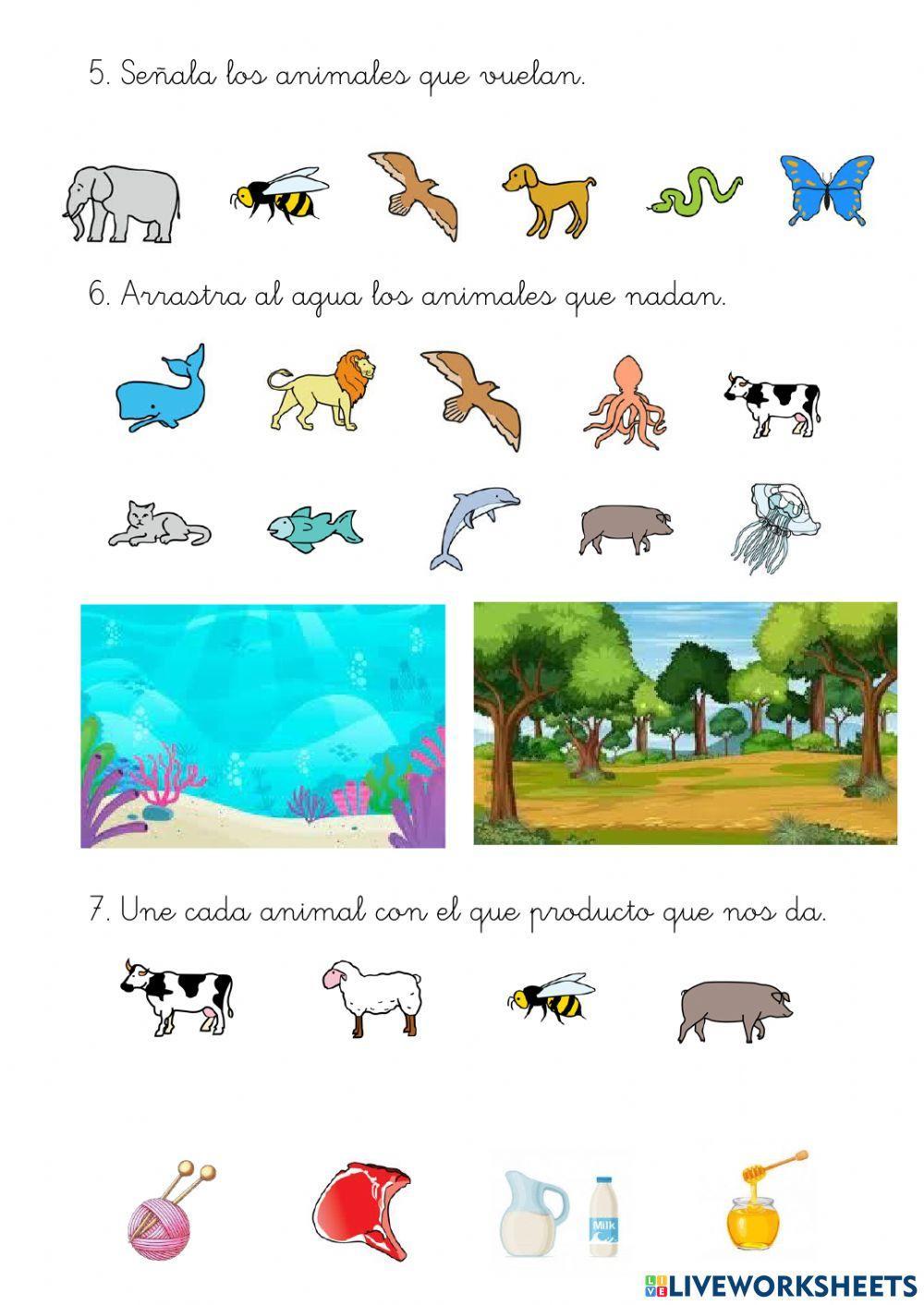 Seguir instrucciones escritas.