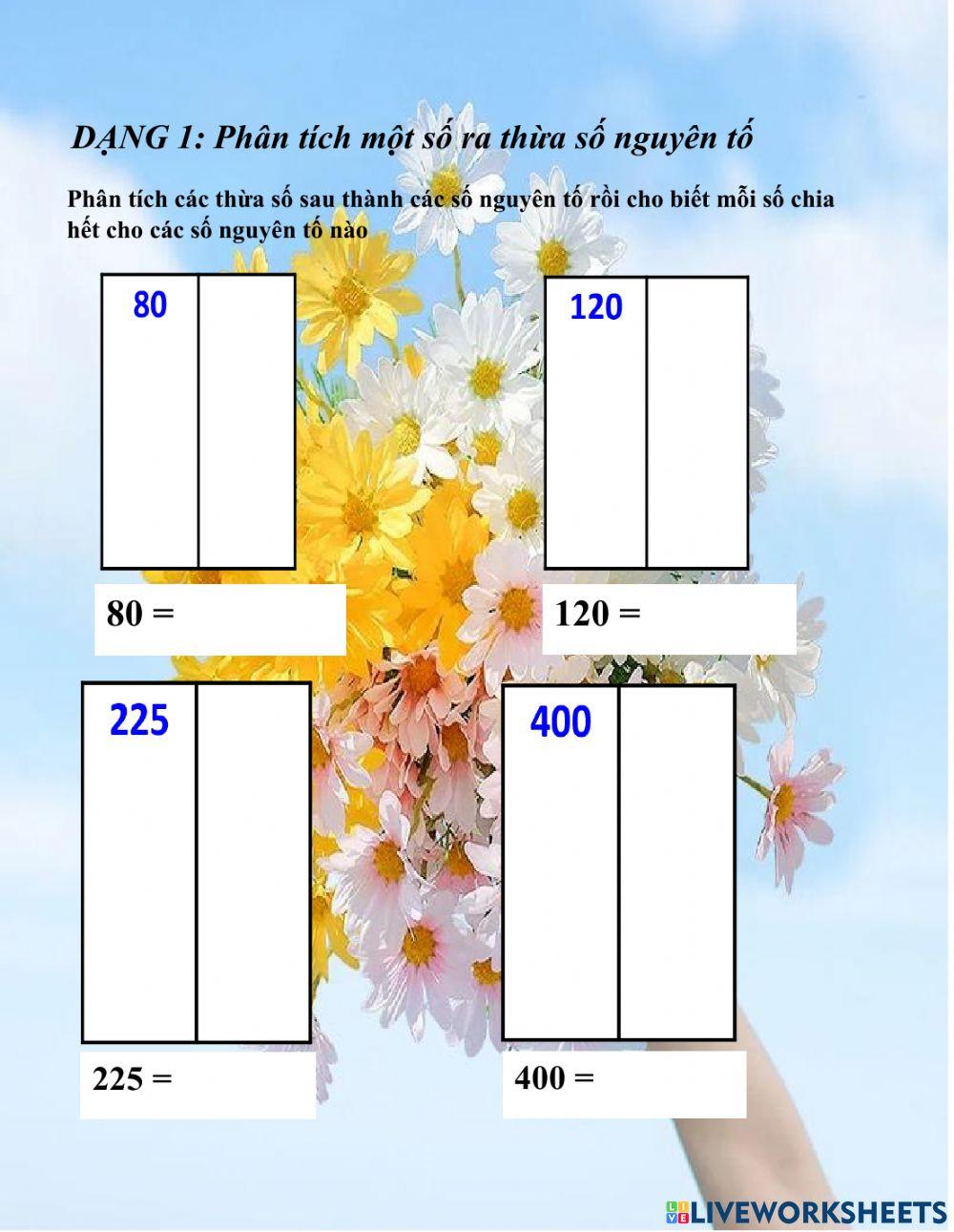 Phân tích các số ra thừa số nguyên tố