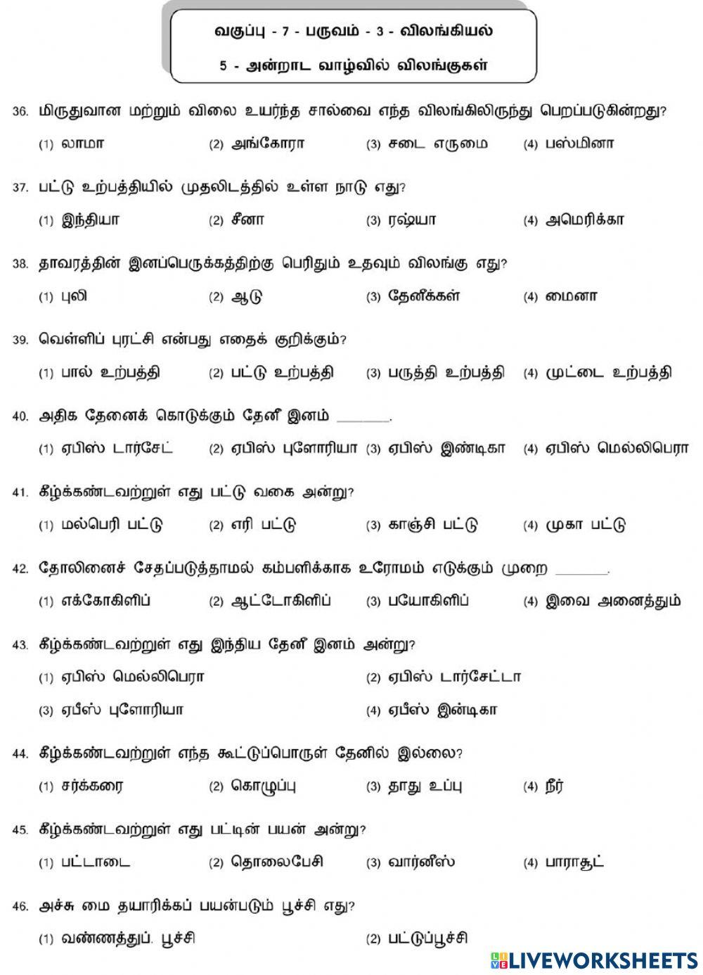 7. Animals in daily life-2