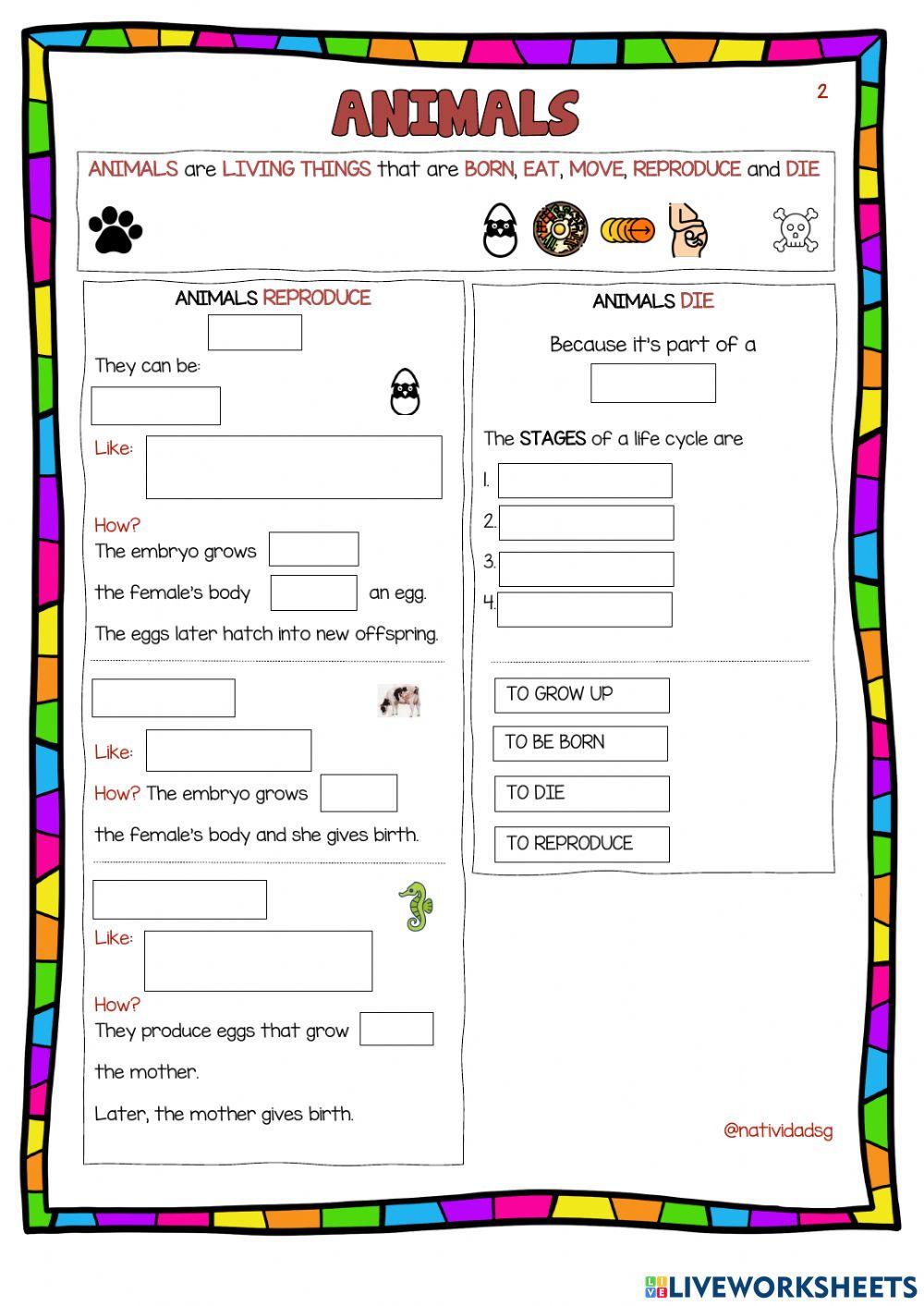 Vital functions of animals 2