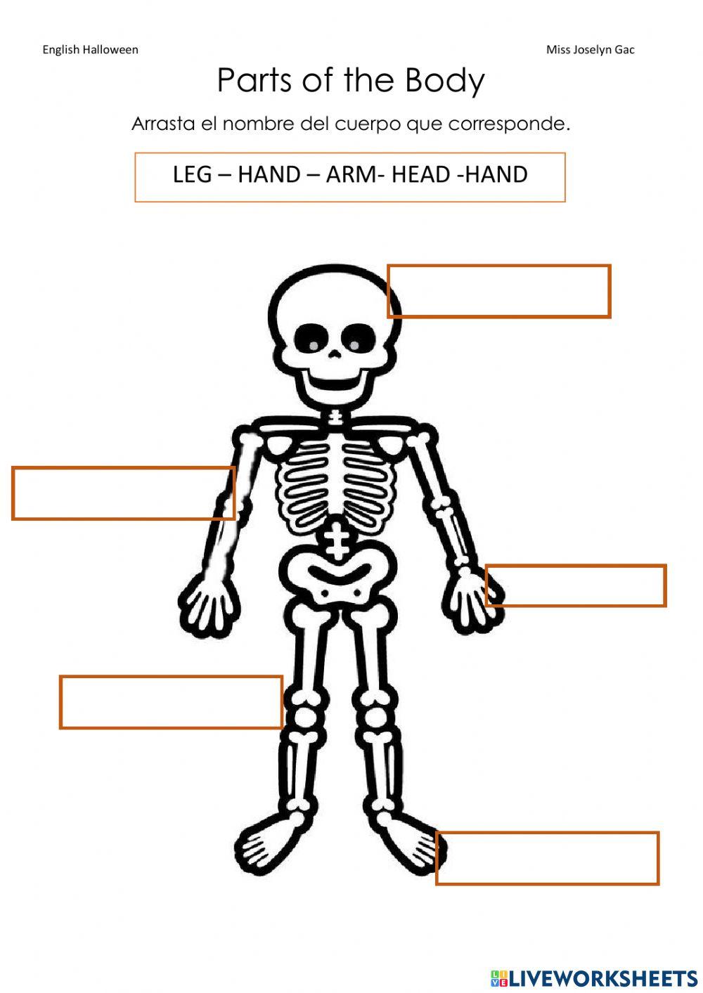 My Body online exercise for 1 | Live Worksheets