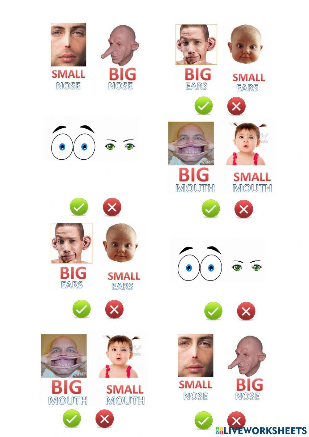 NEA UNIT 1 vocabulary revision