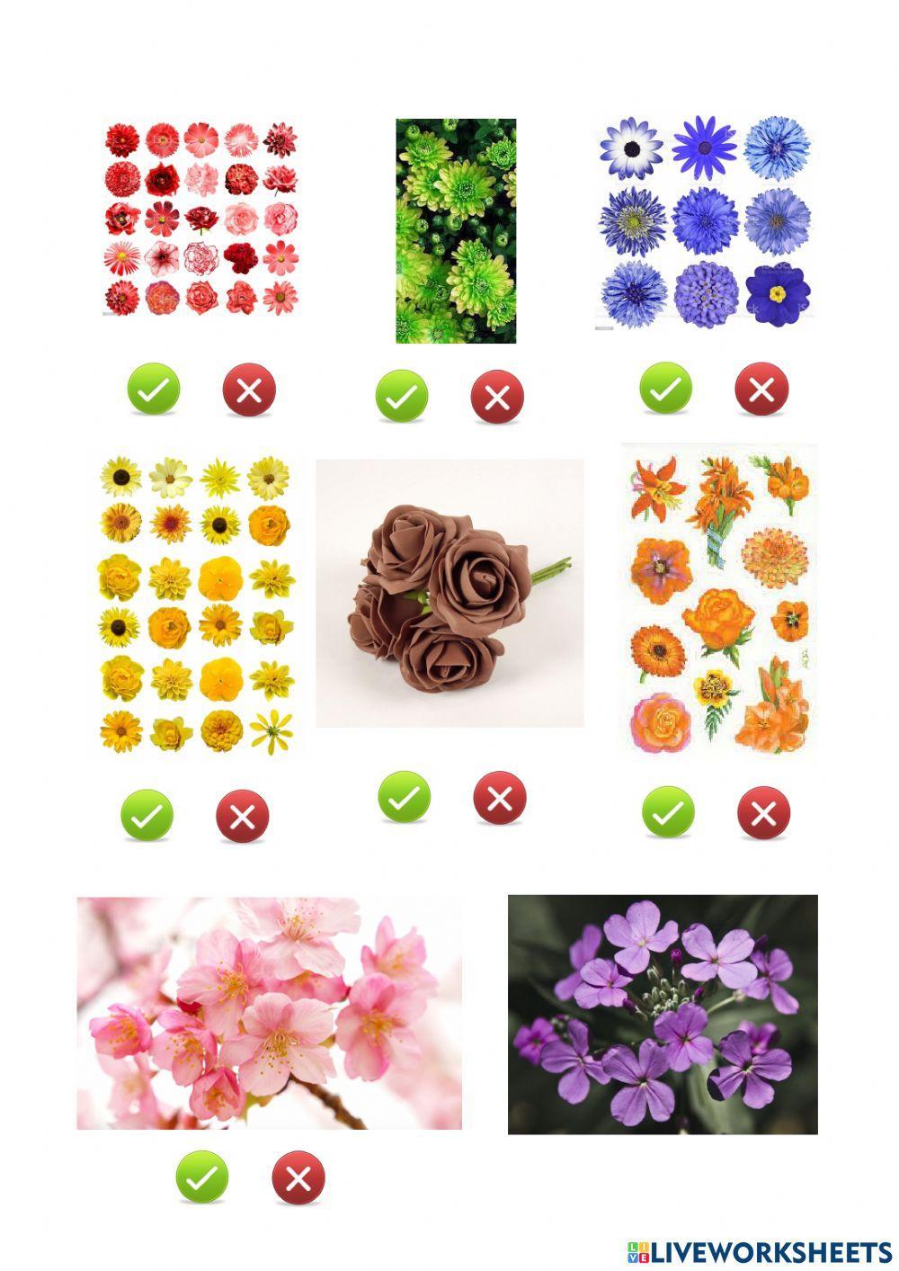 NEA UNIT 1 vocabulary revision