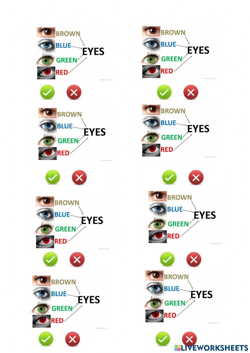 NEA UNIT 1 vocabulary revision