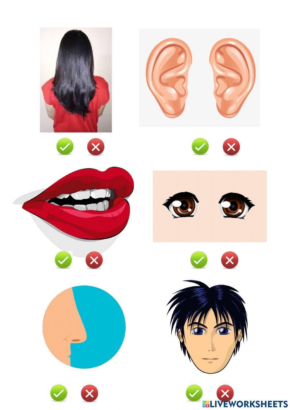 NEA UNIT 1 vocabulary revision