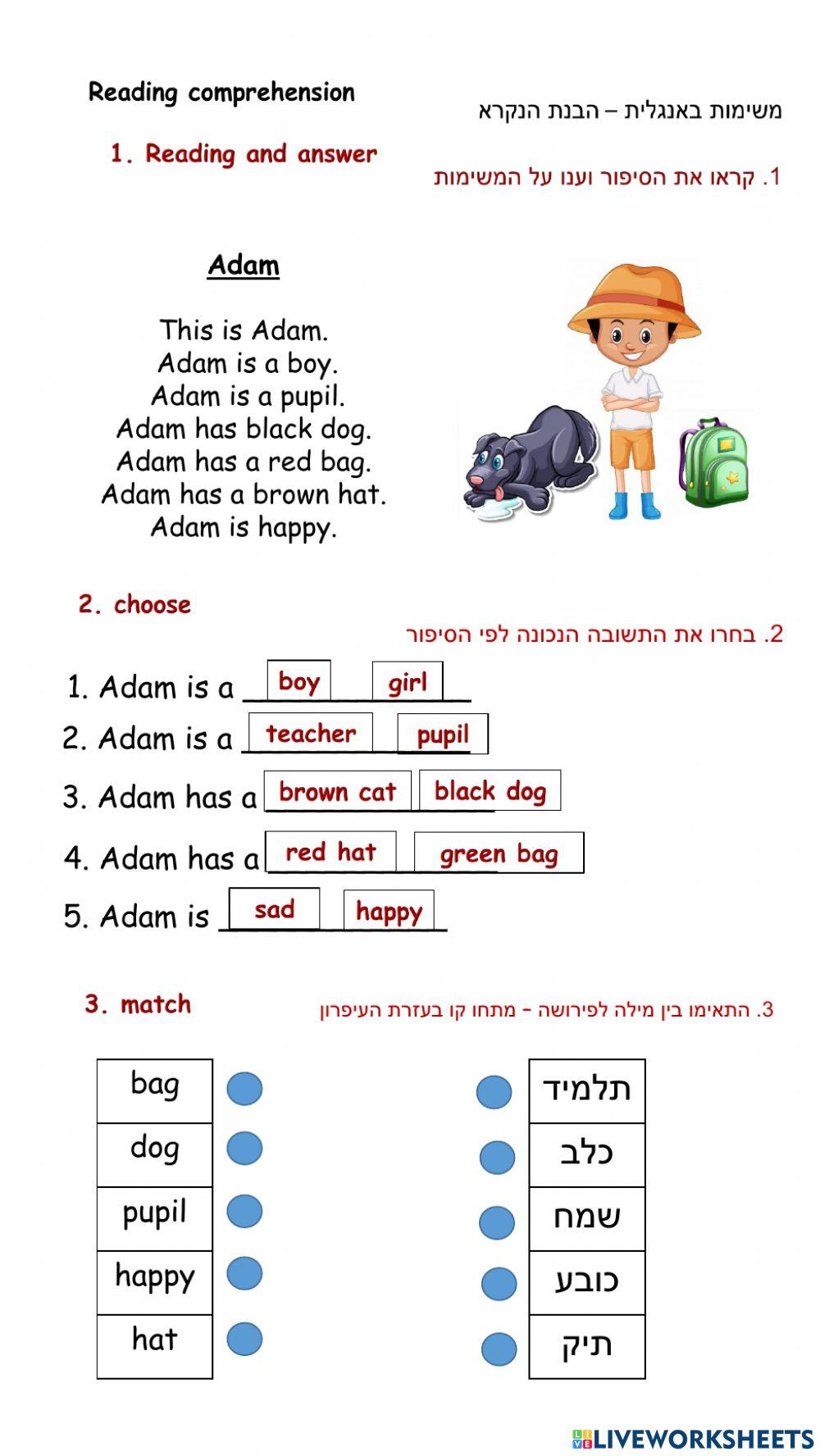 Reading comprahansion